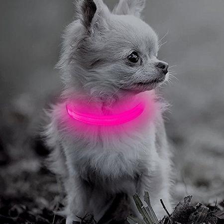 BSEEN LED Dog Glow Collar USB Recarregavel Brilho no Colarinho De Cachorro Escuro Leve se Coleiras de Animais de Estimacao para Caes e Gatos Pequenos Laranja XS Coleira para Cachorro