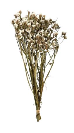 Buquê Estatice Branca Desidratada Arranjo Decoração - FLORA FULL Imagem de Buquê Estatice Branca Desidratada Arranjo Decoração