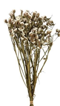 Buquê Estatice Branca Desidratada Arranjo Decoração - FLORA FULL Imagem de Buquê Estatice Branca Desidratada Arranjo Decoração