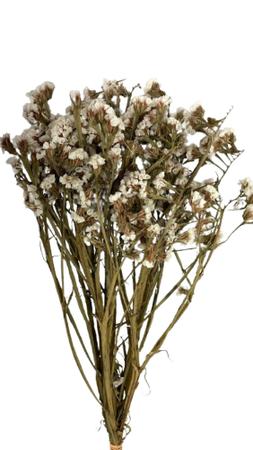 Buquê Estatice Branca Desidratada Arranjo Decoração - FLORA FULL Imagem de Buquê Estatice Branca Desidratada Arranjo Decoração