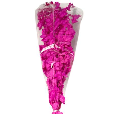 Buquê Eucalipto Pink Desidratado Seco Para Arranjo Decoração - FLORA FULL Imagem de Buquê Eucalipto Pink Desidratado Seco Para Arranjo Decoração