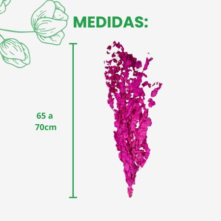 Buquê Eucalipto Pink Desidratado Seco Para Arranjo Decoração - FLORA FULL Imagem de Buquê Eucalipto Pink Desidratado Seco Para Arranjo Decoração