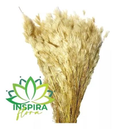 Buque Pluma Pampas Grass Luxo Arranjo Elegante Decoração Lar - FLORA FULL Imagem de Buque Pluma Pampas Grass Luxo Arranjo Elegante Decoração Lar