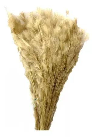 Imagem de Buque Pluma Pampas Grass Luxo Arranjo Elegante Decoração Lar