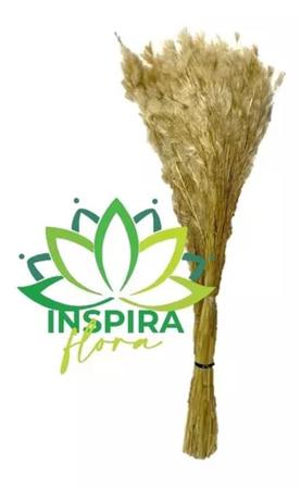 Buque Pluma Pampas Grass Luxo Arranjo Elegante Decoração Lar - FLORA FULL Imagem de Buque Pluma Pampas Grass Luxo Arranjo Elegante Decoração Lar