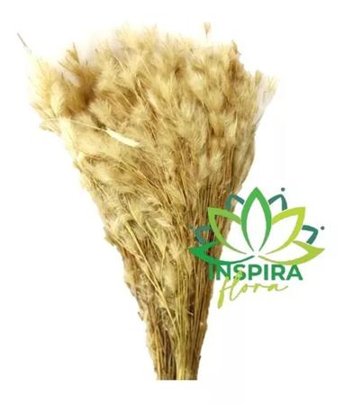 Buque Pluma Pampas Grass Luxo Arranjo Elegante Decoração Lar - FLORA FULL Imagem de Buque Pluma Pampas Grass Luxo Arranjo Elegante Decoração Lar