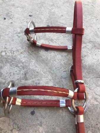 Imagem de Bursal Argolas Inox Virola Rédea Cabeçada Peitoral Para Cavalo, muares Cavalgada Campeonatos