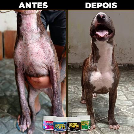 Imagem de Cachorro Forte Kit 3 Premium + 3 Pelo e Derme Imunidade + Queda de Pelo