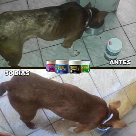 Imagem de Cachorro Forte Kit 3 Premium + 3 Pelo e Derme Imunidade + Queda de Pelo