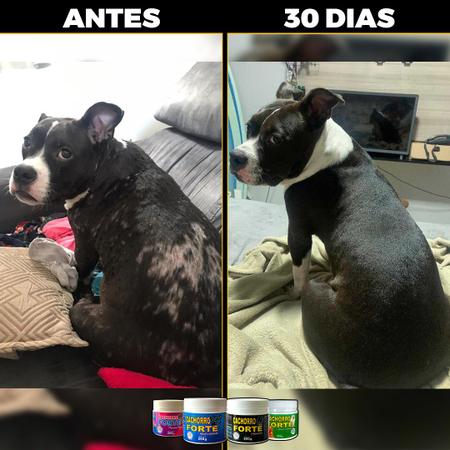 Imagem de Cachorro Forte Kit 3 Premium + 3 Pelo e Derme Imunidade + Queda de Pelo