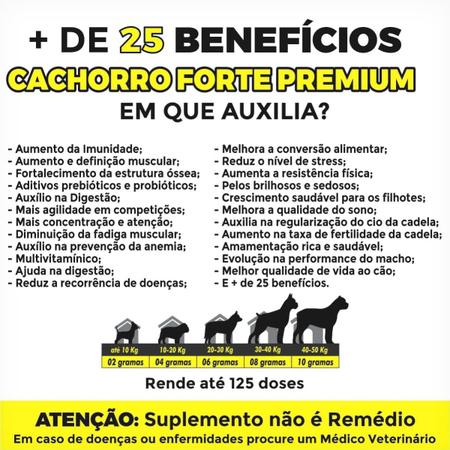 Suplemento Cachorro Forte Gold 250g 4 em 1 - Vitaminas e