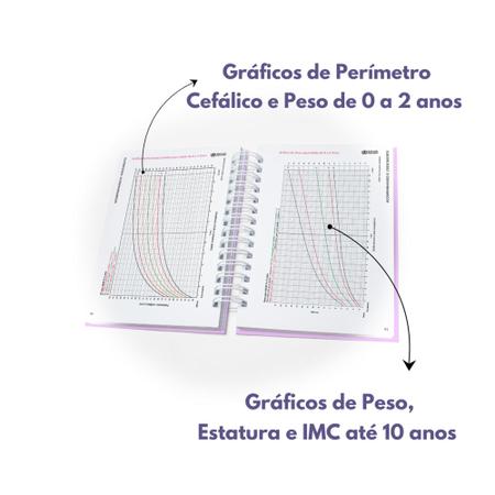 Imagem de Caderneta Vacinação Menina Luxo Capa Dura Versão Atualizada Sus - Arco-íris Rosa