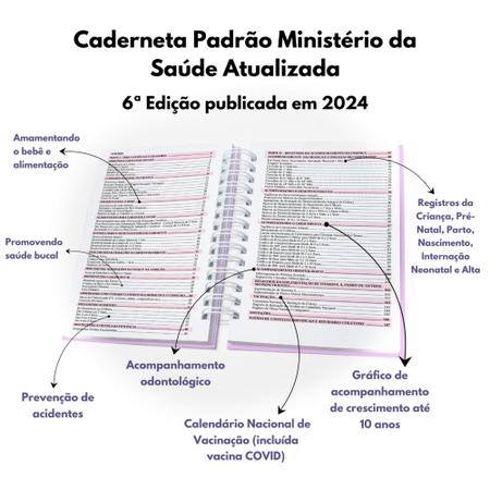 Imagem de Caderneta Vacinação Menina Luxo Capa Dura Versão Atualizada Sus - Elefantinha Rosa