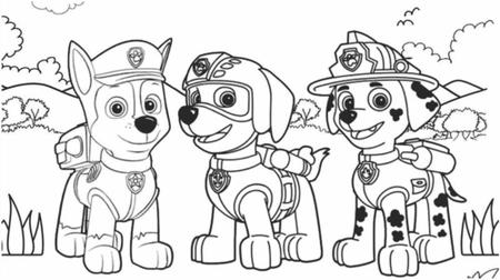 Patrulha Canina para colorir  Paw patrol coloring, Paw patrol coloring  pages, Cartoon coloring pages