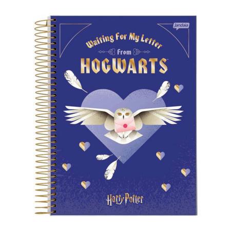 Imagem de Caderno universitario harry potter 10 materias - jandaia