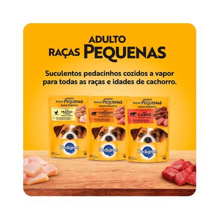 Caixa Sachê Purina Dog Chow Adulto Todos Tamanhos Carne 100g - Outros Pets  - Magazine Luiza