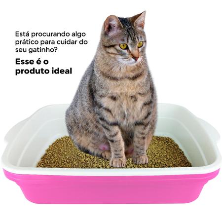 Site Taquiprati - O miau do Alferes: tem gato na tuba