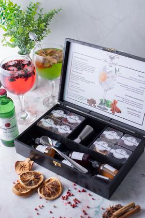 Kit Gin Tanqueray 8 Especiarias + Dosador+ Colher +2 Xaropes - Meu Gin  Premium