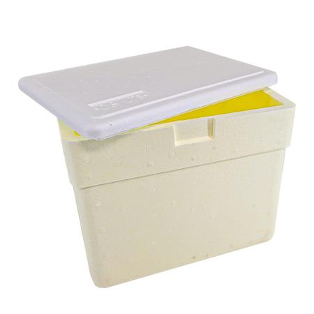 Imagem de Caixa de Isopor com Alça 13 Litros Amarela 
