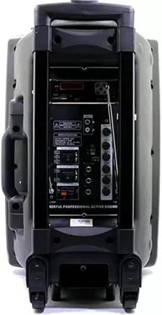 Imagem de Caixa De Som Profissional 12 Pol - Bluetooth - 2 Microfone - Ecopower