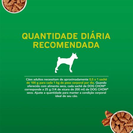 Caixa Sachê Purina Dog Chow Adulto Todos Tamanhos Carne 100g - Outros Pets  - Magazine Luiza