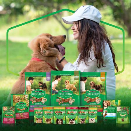 Caixa Sachê Purina Dog Chow Adulto Todos Tamanhos Carne 100g - Outros Pets  - Magazine Luiza