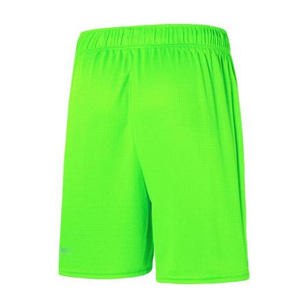 Bermuda puma palmeiras 2025