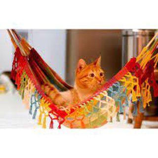 Imagem de Caminha de gato - Rede várias cores - rede para gato, cachorro, furão, ferret - caminha gato e furão - cama gato e ferre