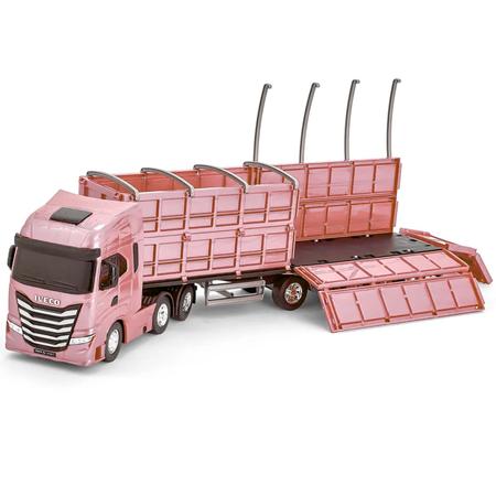 Caminhão Graneleiro Iveco Brinquedo Miniatura - Escolha Cor - Pink  Brinquedos