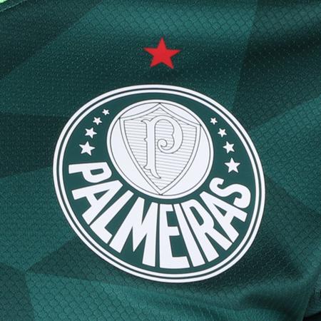 Imagem de Camisa Palmeiras I 23/24 s/n Torcedor Puma Manga Longa Masculina