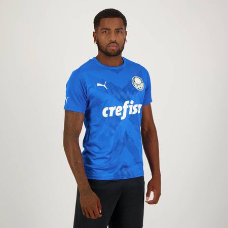 Camisa de goleiro do palmeiras puma 2025