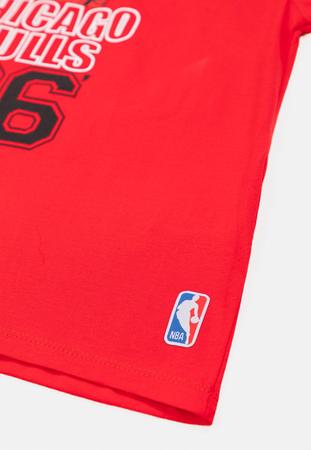 Imagem de Camiseta NBA Juvenil Half Logo Chicago Bulls Vermelha