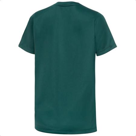 Imagem de Camiseta Palmeiras 1914 II Juvenil 