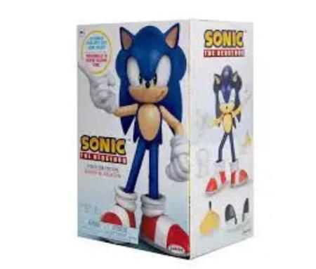 Boneco Sonic The Hedgehodg Edição Colecionável Candide - jakks - Bonecos -  Magazine Luiza