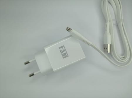Imagem de Carregador completo Micro USB 2 USB FAM