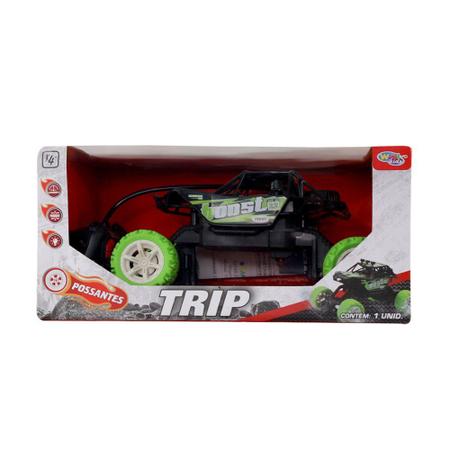 Carrinho Controle Remoto Off Road 4x4 - 27cm - Wellkids