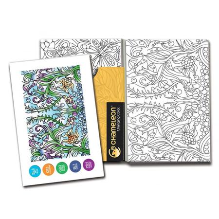 Imagem de Cartões de Colorir Chameleon 10 x15 cm com 16 Folhas  Imagens Espelhadas CCO106