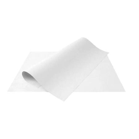 Imagem de Cartolina Escolar Anin Branco 50 x 66cm 120g com 100 Folhas