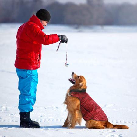 Imagem de Casaco de inverno para cães EMUST Jaqueta à prova de vento para climas frios