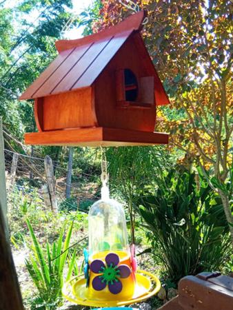 Casinha De Passarinhos Colonial Bebedouro Beija-flor +néctar - Start Artesanatos Imagem de Casinha De Passarinhos Colonial Bebedouro Beija-flor +néctar