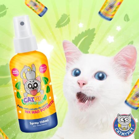 Catnip Erva do Gato Spray 120ml CatMyPet Imagem de Catnip Erva do Gato Spray 120ml CatMyPet
