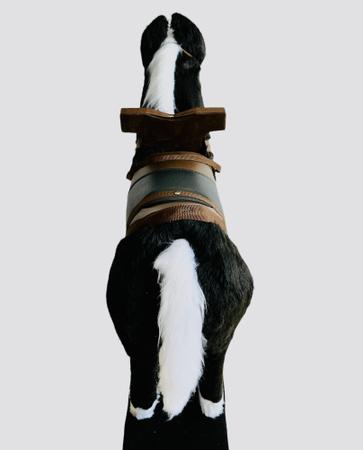 Imagem de cavalinho de balanço gangorra super Luxo King