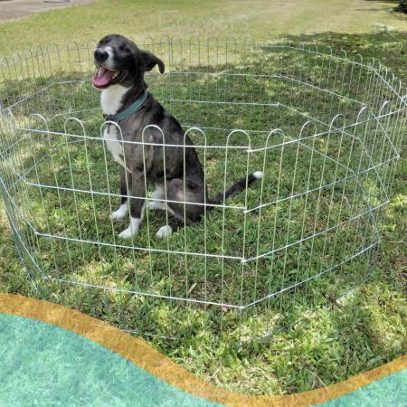 Imagem de Cercado Para Cachorro Coelho Pets 8 Folhas 78 cm Altura Galvanizado