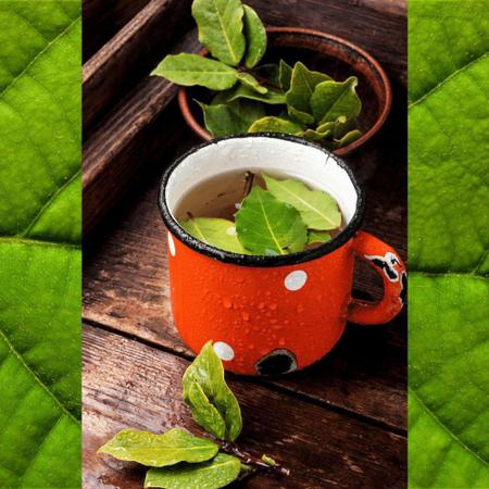 Imagem de Chá de Goiabeira PURA 100% Folhas 30g Orgânica e Certificada - Kampo de Ervas