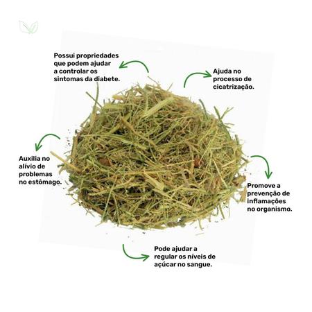 Ch de Mel o de S o Caetano Momordica Charantia L. 100g