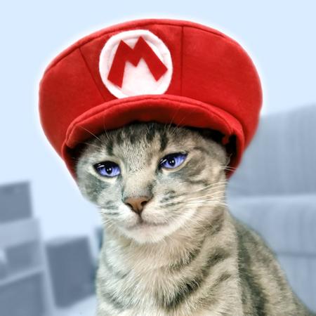 Imagem de Chapéu Pet - boina - boné Mario Bros, Luigi, Peach, Wario ou Waluigi em feltro para gato adulto ou cão pequeno porte