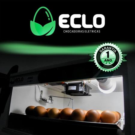 Imagem de Chocadeira Automática 56 Ovos de Galinha + Ovoscópio