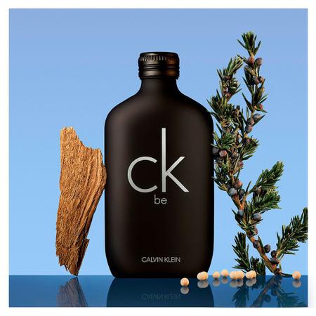 Ck Be Calvin Klein - Perfume Unissex - Eau de Toilette - Perfume - Magazine  Luiza