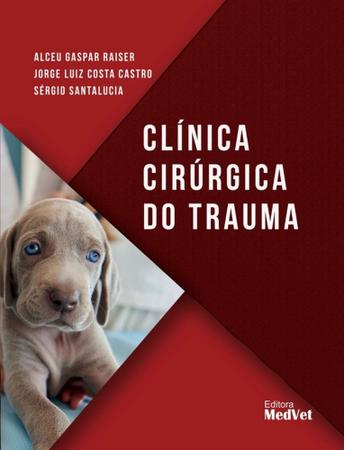 Imagem de Clínica cirúrgica do trauma