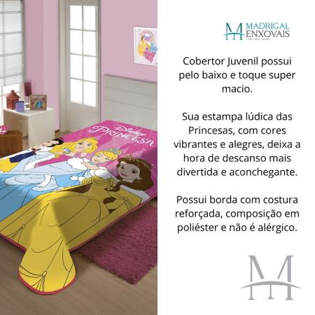 Imagem de Cobertor Jolitex Solteiro Princesas Disney Raschel Plus 1,50x2,00m